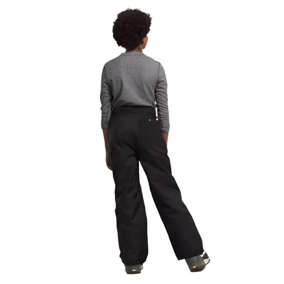 The North Face Boys' Freedom Insulated Pants - Image 3