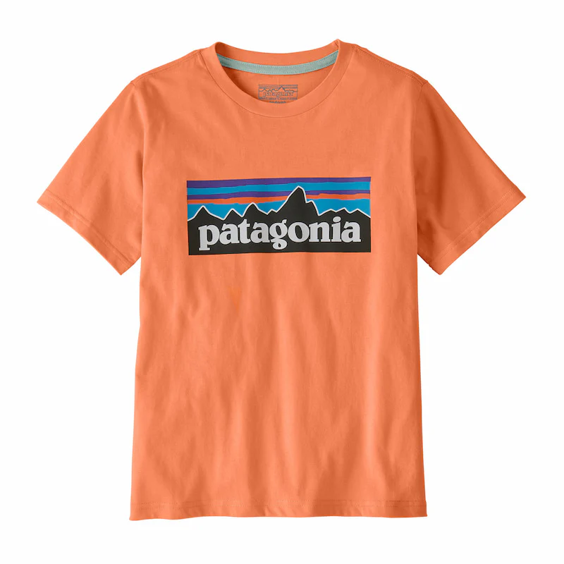 Patagonia Boys' P-6 Logo Short Sleeve T-Shirt - Image 2