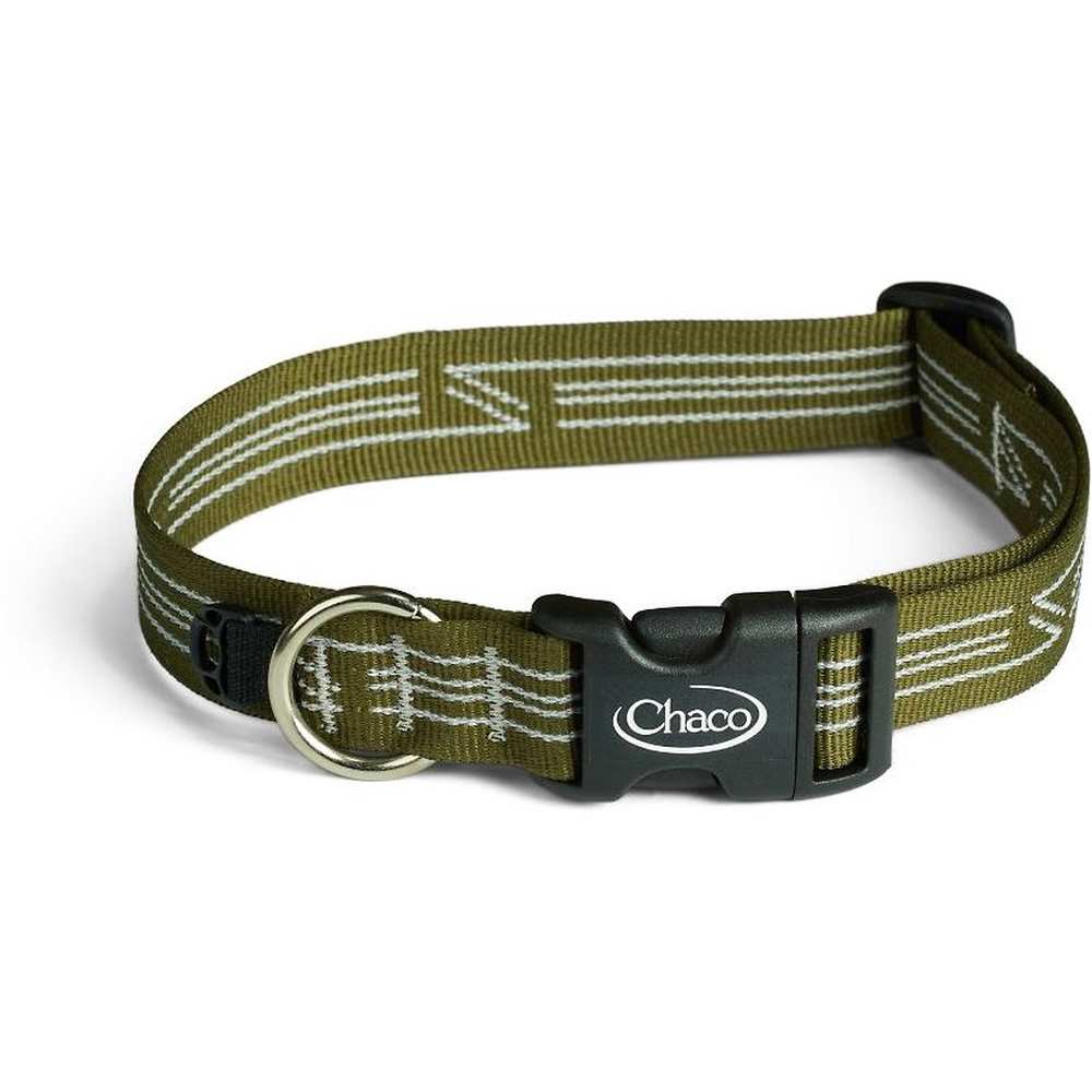 Dog Collar - Image 9