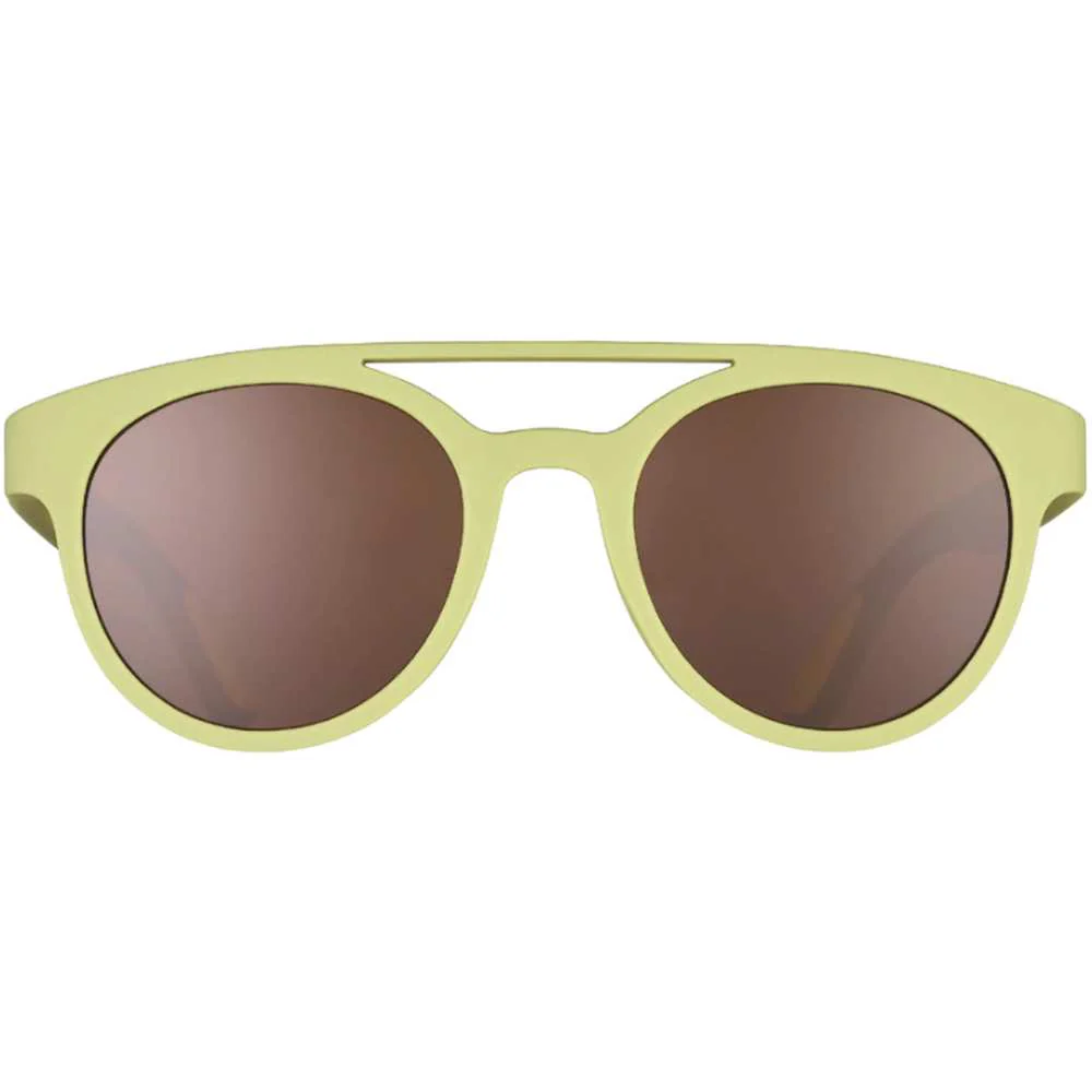 Fossil Finding Focals - Image 2