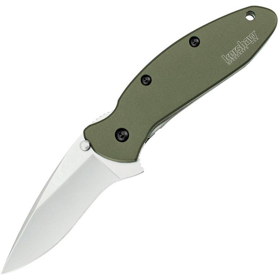 Scallion - Image 3