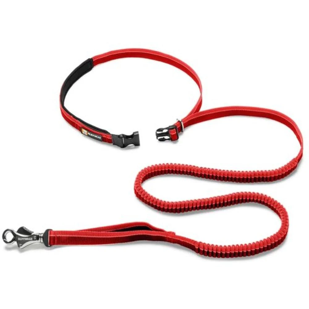 Roamer Leash - Bungee Dog Leash - Image 2